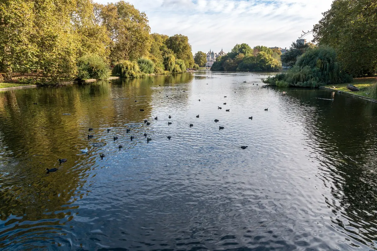 Der St James's Park im Herbst